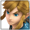 Link portrait