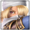 Sheik portrait